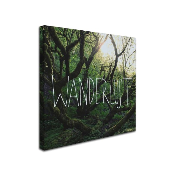 Leah Flores 'Wanderlust' Canvas Art,24x24